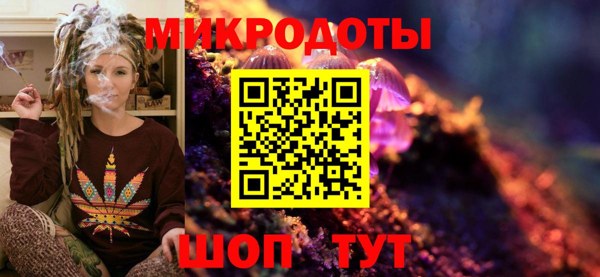 Псилоцибиновые грибы Psilocybine cubensis Избербаш
